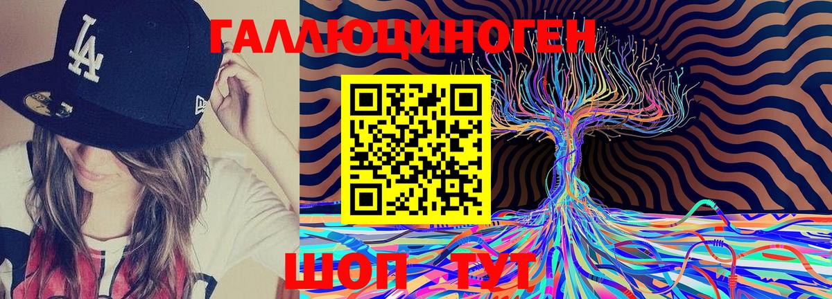 Псилоцибиновые грибы Psilocybine cubensis Елец
