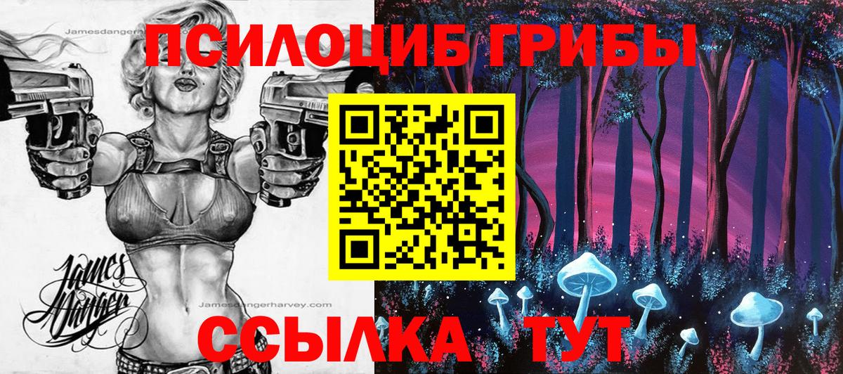 Елец  Галлюциногенные грибы Cubensis  цена наркотик  Вход с VPN 